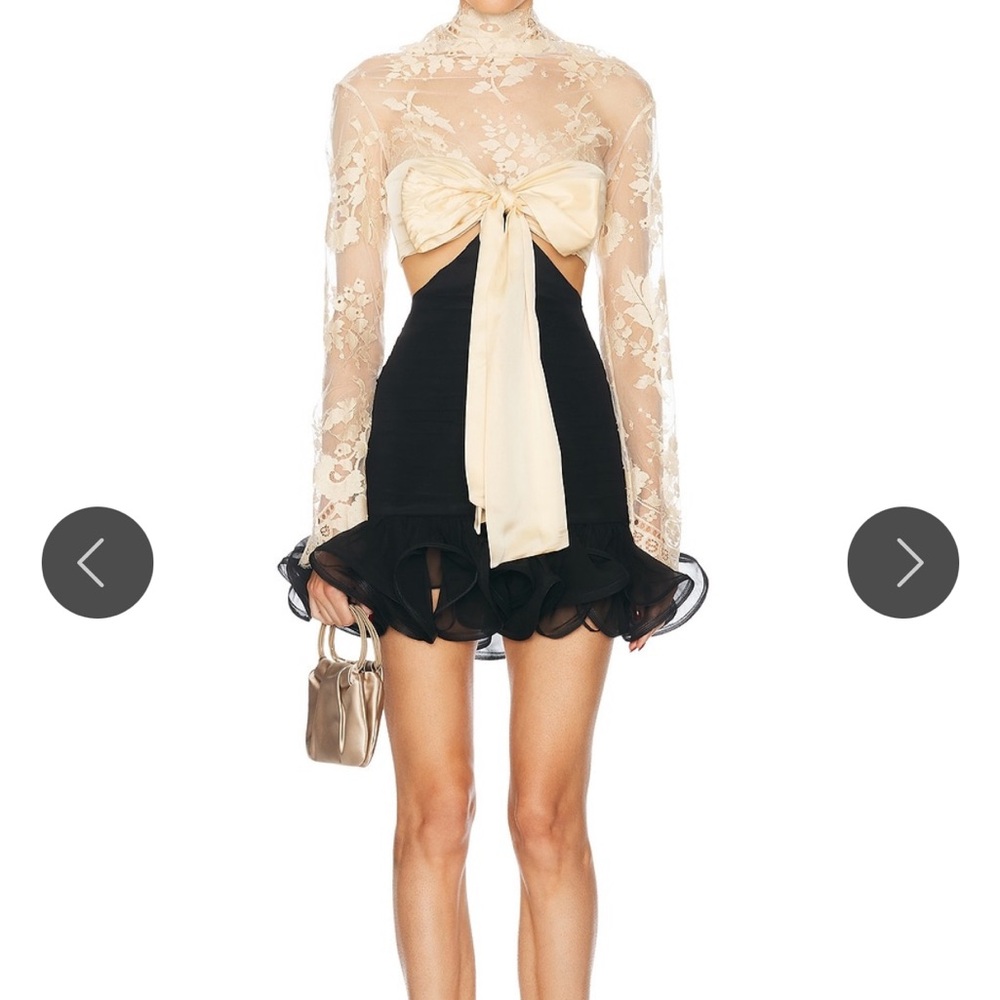 Zimmermann Illustration Flounce Mini Dress